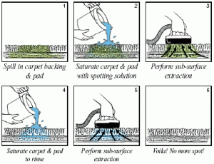 Carpet Cleaning Pet Stains Removal