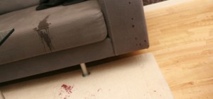 upholstery Cleaning Denver