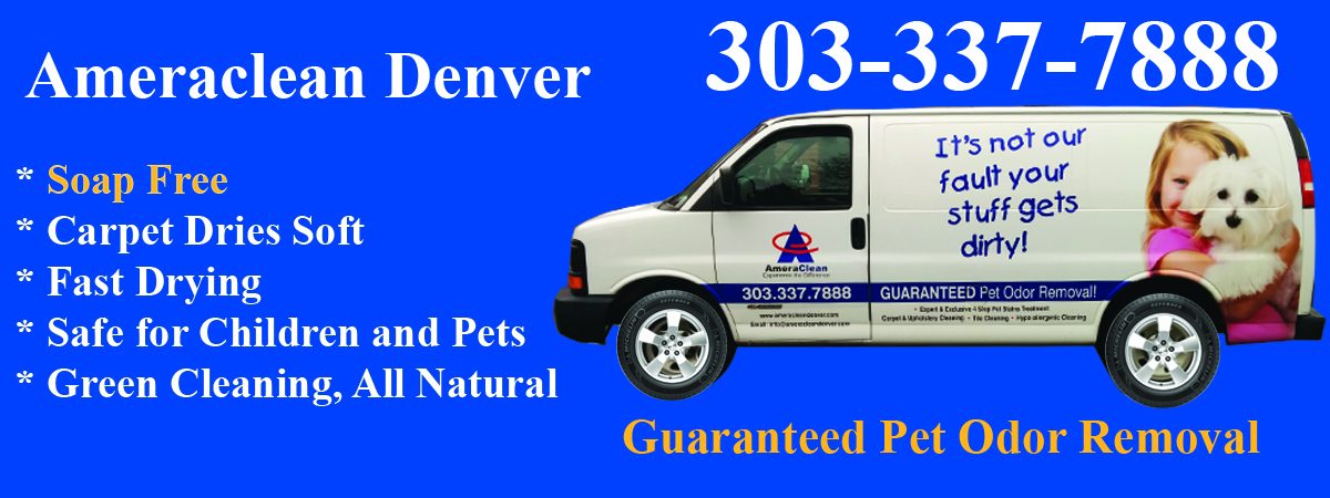 ameraclean carpet cleaning denver